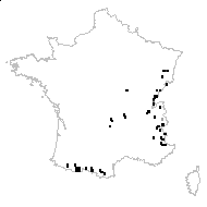 Alchemilla glabra Neygenf. - carte des observations