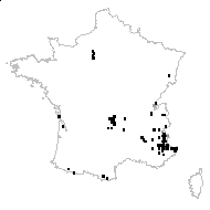 Alchemilla glaucescens Wallr. - carte des observations