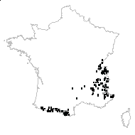 Alchemilla hoppeana (Rchb.) Dalla Torre - carte des observations