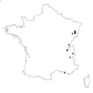 Alchemilla vulgaris subsp. monticola (Opiz) Soó - carte des observations