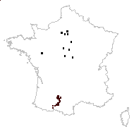 Aster frutetorum Wimm. - carte des observations