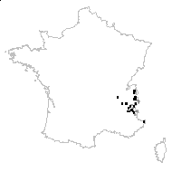 Alchemilla pentaphyllea L. - carte des observations