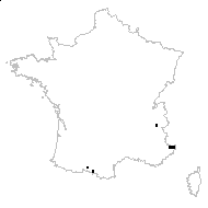 Alchemilla alpina var. subsericea (Reut.) Nyman - carte des observations