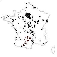 Aphanes arvensis L. - carte des observations