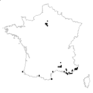 Crataegus bibas Lour. - carte des observations