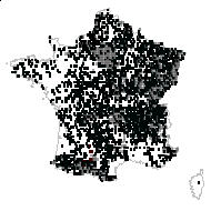 Caryophyllata urbana (L.) Scop. - carte des observations