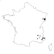 Potentilla alba L. - carte des observations