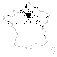 Potentilla anserina L. subsp. anserina - carte des observations