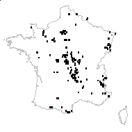 Potentilla argentea L. - carte des observations