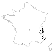 Potentilla aurea L. subsp. aurea - carte des observations