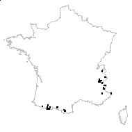 Potentilla brauneana Hoppe - carte des observations