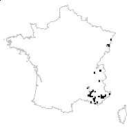 Potentilla cinerea Chaix ex Vill. - carte des observations