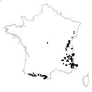 Potentilla salisburgensis subsp. saxatilis (Boulay) Berher - carte des observations