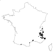 Potentilla subnitens Arv.-Touv. - carte des observations