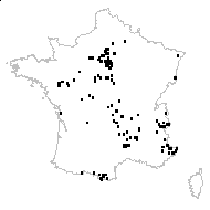 Potentilla neglecta Baumg. - carte des observations