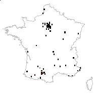 Prunus cerasifera Ehrh. var. cerasifera - carte des observations