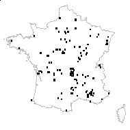 Prunus cerasus L. - carte des observations