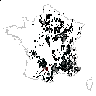 Prunus odorata Lam. - carte des observations