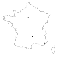 Rosa canina n-subsp. corymbifera (Borkh.) C.Vicioso - carte des observations