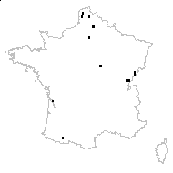 Rosa ×nitidula Besser - carte des observations