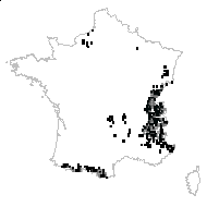 Rosa pendulina L. - carte des observations