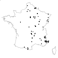 Rosa canina var. tomentosa (Sm.) Desv. - carte des observations