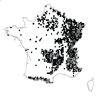 Rubus idaeus L. - carte des observations