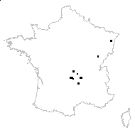 Rubus radula Weihe ex Boenn. - carte des observations