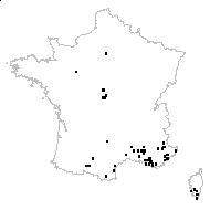 Poterium sanguisorba subsp. balearica (Bourg. ex Nyman) Stace - carte des observations