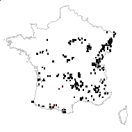 Poterium boreale Salisb. - carte des observations