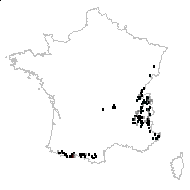 Sorbus chamaemespilus (L.) Crantz - carte des observations