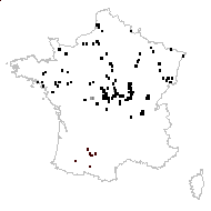 Bidens cernua var. radiata DC. - carte des observations