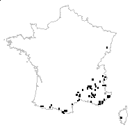 Galium mollugo subsp. gerardii Gaut. - carte des observations