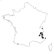 Galium helveticum var. allionii Rouy - carte des observations