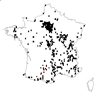 Galium album Mill. - carte des observations