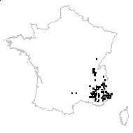 Galium myrianthum var. rubriflorum Cariot & St.-Lag. - carte des observations