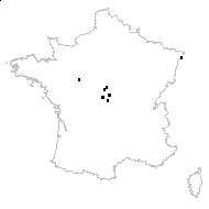 Galium palustre subsp. elongatum (C.Presl) Lange - carte des observations