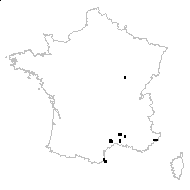 Bidens subalternans DC. - carte des observations