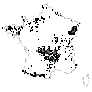 Galium harcynicum var. arvernense Rouy - carte des observations