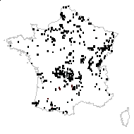 Galium uliginosum L. - carte des observations