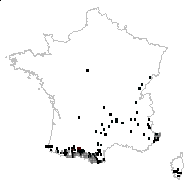 Cruciata glabra (L.) Ehrend. - carte des observations