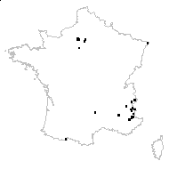 Galium eminens Gren. - carte des observations