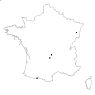 Salix phylicifolia subsp. bicolor (Willd.) O.Bolòs & Vigo - carte des observations