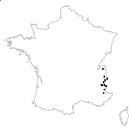 Salix hastata L. subsp. hastata - carte des observations