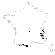 Salix reticulata sensu L. [1754] - carte des observations