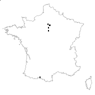 Diplopappus chinensis (L.) Less. - carte des observations