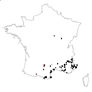 Thesium divaricatum subsp. vandasii Rohlena - carte des observations