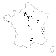 Thesium hussenotii Hussenot - carte des observations