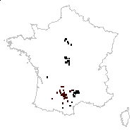 Carthamus humilis Lam. - carte des observations