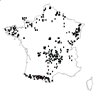 Chrysosplenium oppositifolium L. - carte des observations